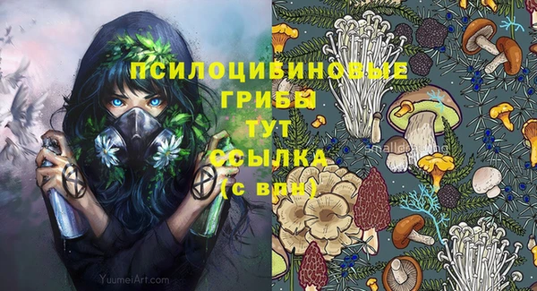 тгк Алексеевка