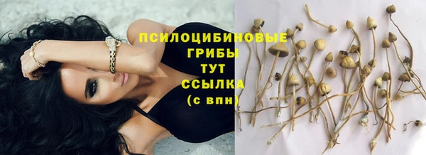 МДМА Алексин