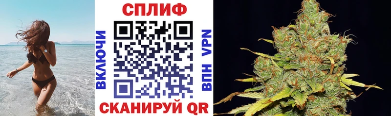 Конопля конопля  Бабушкин 